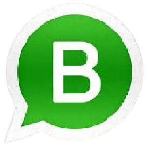 WhatsApp Logo